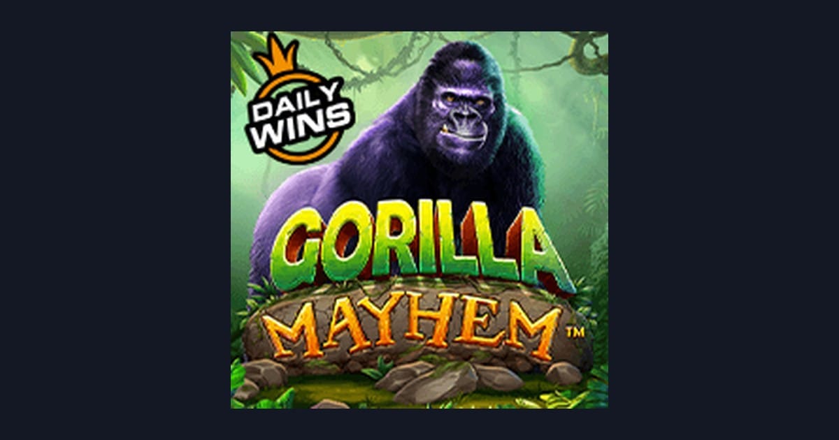 Bocoran RTP Hari Ini dan Rahasia Slot Gorilla Mayhem dari Pragmatic Play